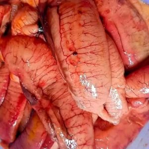 ৩ কেজি ইলিশের ডিম